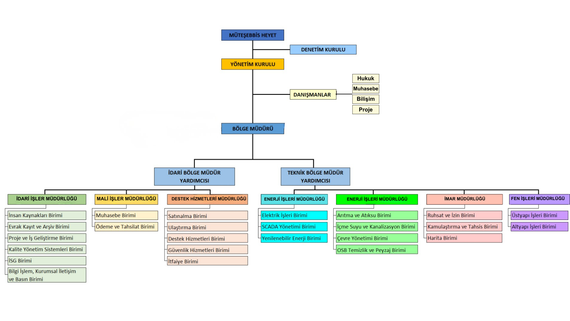 Organizasyon Şeması