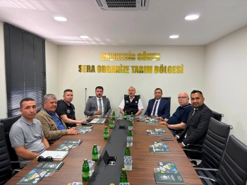 Çanakkale Ayvacık Sera 